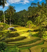 travel-image