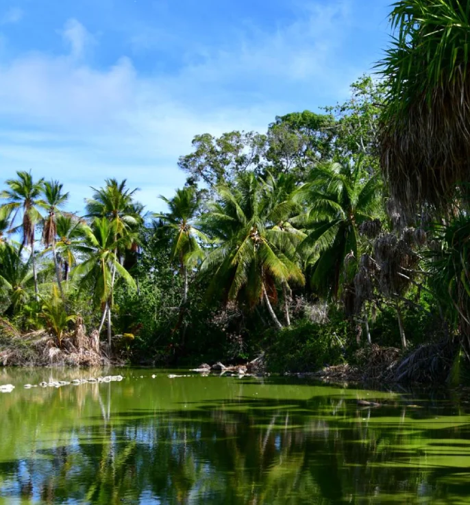 travel-image