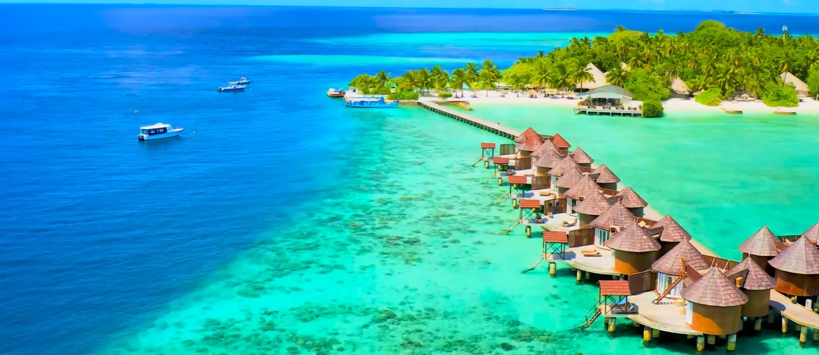 video-banner-image